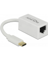 DeLOCK USB 3.1 with USB C St> RJ45 Bu white - nr 16