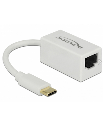 DeLOCK USB 3.1 with USB C St> RJ45 Bu white