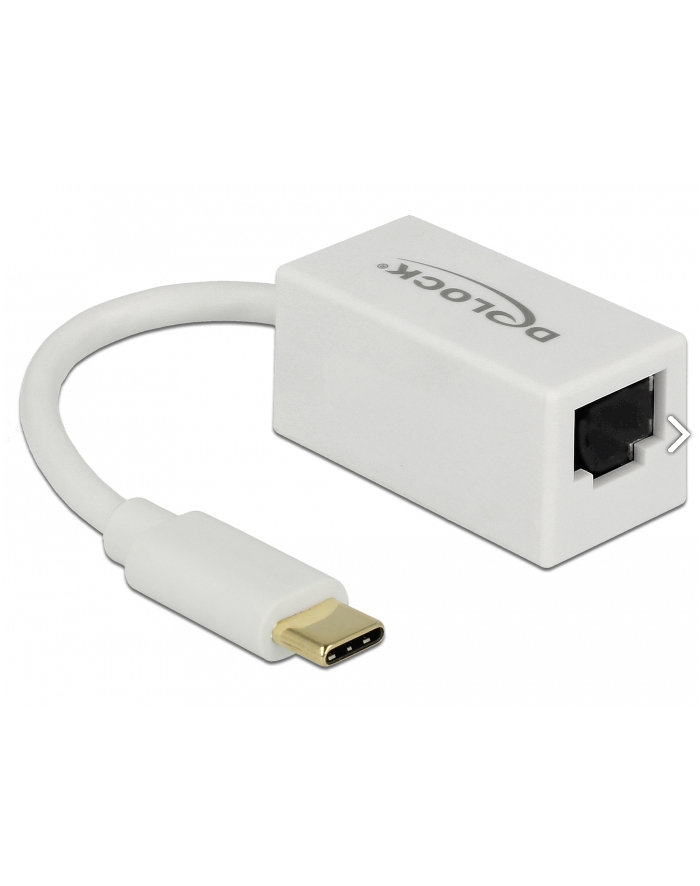 DeLOCK USB 3.1 with USB C St> RJ45 Bu white główny