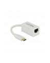 DeLOCK USB 3.1 with USB C St> RJ45 Bu white - nr 2