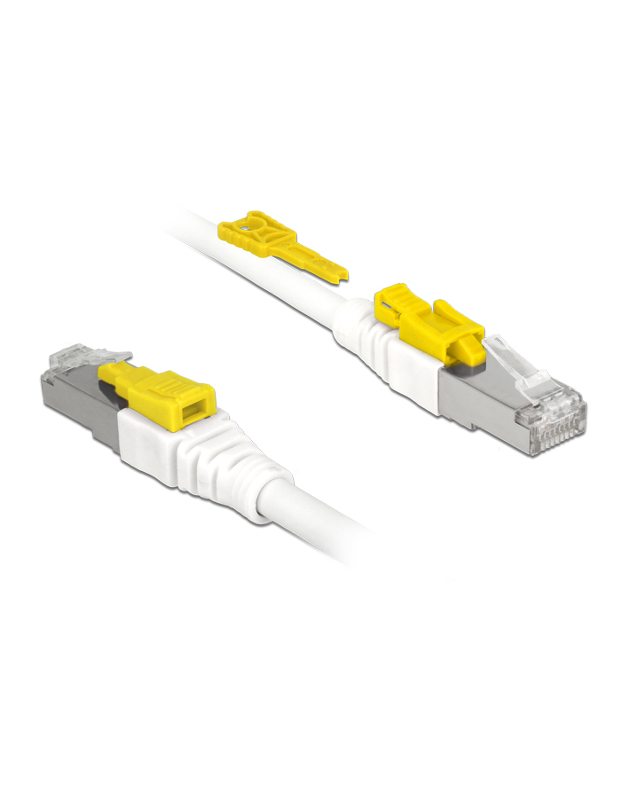 DeLOCK RJ45 Secure Cat. 6A 0,5m główny