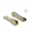 DeLOCK adapter SFP + module 10G / RJ45 / SFP + - 10GBase-T RJ45 - nr 8