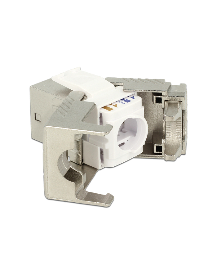 DeLOCK Keystone RJ45 Bu/Bu Cat.6 silver główny