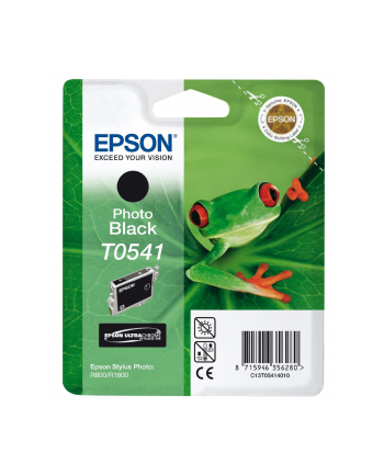 Tusz Epson T0541 photo black | Stylus Photo R800/1800
