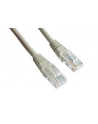Patch cord kat.5e osłonka zalewana 1M szary - nr 17