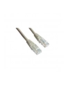 Patch cord kat.5e osłonka zalewana 1M szary - nr 22