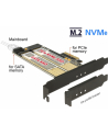 Delock PCI Express x4 >  wewnętrzny M.2- B + wewnętrzny NVMe M.2 M - nr 12