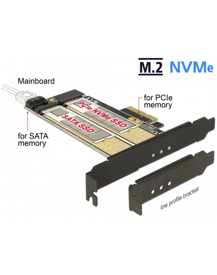 Delock PCI Express x4 >  wewnętrzny M.2- B + wewnętrzny NVMe M.2 M główny