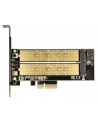 Delock PCI Express x4 >  wewnętrzny M.2- B + wewnętrzny NVMe M.2 M - nr 20