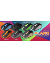 PLANO - Optical mouse 800 cpi, 3 buttons + scrolling wheel, USB interface - nr 2