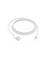 Apple Lightning to USB Cable (1m) - nr 1