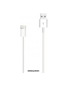 Apple Lightning to USB Cable (1m) - nr 4