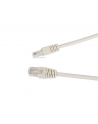 Gembird patchcord RJ45, osłonka zalewana, kat. 6, UTP, 0.25m, szary - nr 7