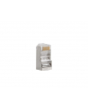 Lanberg wtyk sieciowy RJ45 (8P8C) KAT.5E FTP (100 SZT) DO LINKI I DO DRUTU - nr 23