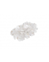Lanberg wtyk sieciowy RJ45 (8P8C) KAT.5E UTP (100 SZT) DO LINKI I DO DRUTU - nr 24