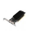 Sapphire VGA SAP GPRO 2200 2G DDR3 PCI-E DUAL DP BROWN BOX - nr 1