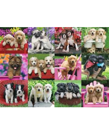 Puzzle 500el Szczenięta przyjaciele 146598 RAVENSBURGER nr 1