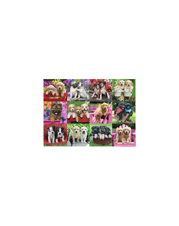 Puzzle 500el Szczenięta przyjaciele 146598 RAVENSBURGER główny