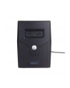 digitus Zasilacz awaryjny UPS Line-Ineractive LED, 600VA/360W - nr 5