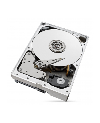 SEAGATE HDD 10TB 3.5” 7.2K V6 512E SATA Standard