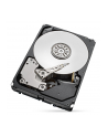 SEAGATE HDD 1TB 3 5  7 2K RPM SAS III 128MB 512E - nr 1