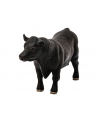 schleich SLH 13879 Aberdeen Angus - nr 5