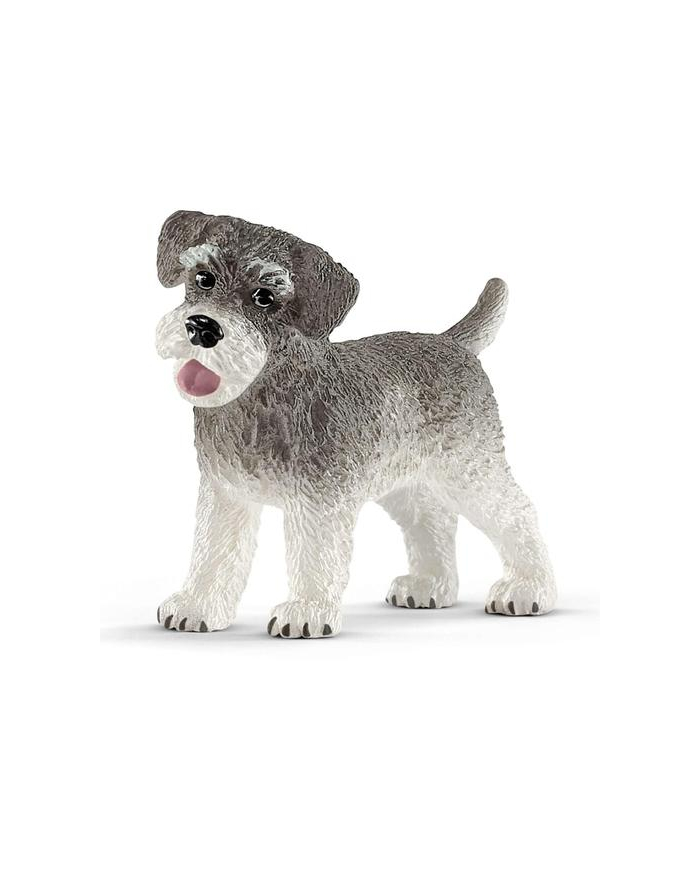 schleich SLH 13892 Sznaucer miniaturowy główny