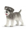 schleich SLH 13892 Sznaucer miniaturowy - nr 4