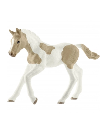 schleich SLH 13886 Koń Paint horse foal