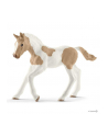 schleich SLH 13886 Koń Paint horse foal - nr 1