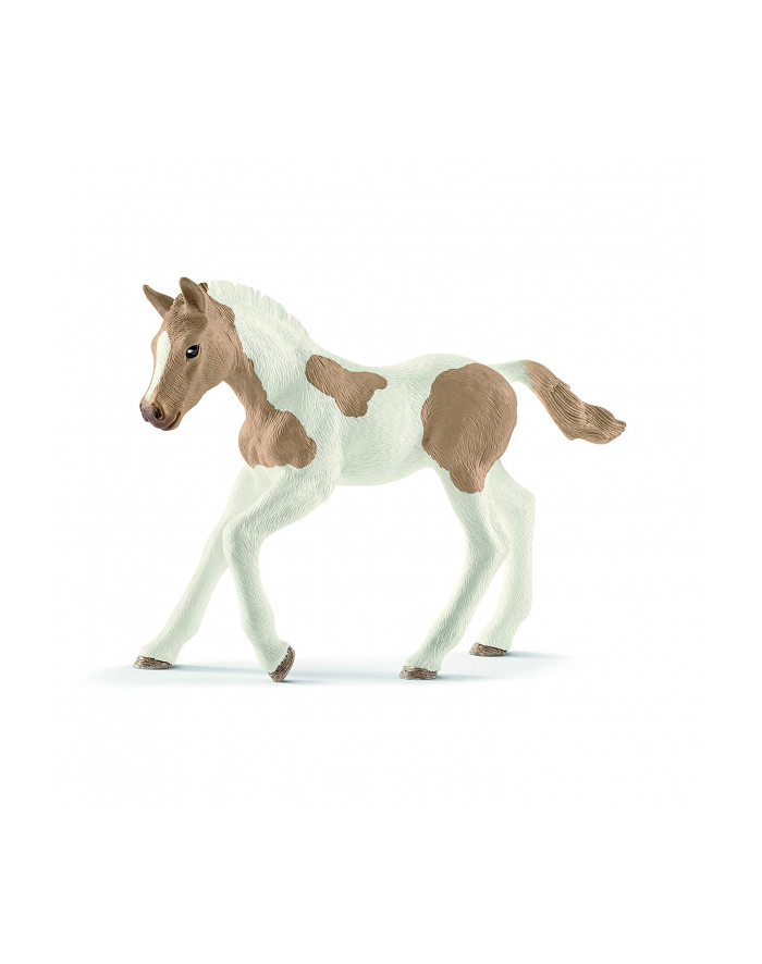 schleich SLH 13886 Koń Paint horse foal główny