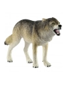 schleich SLH 14821 Wilk - nr 4
