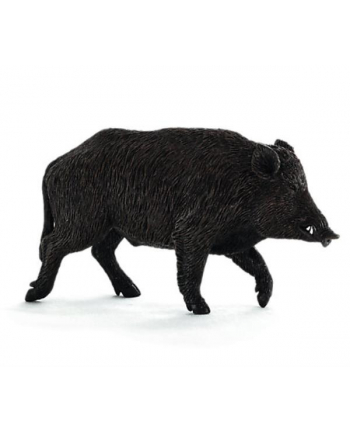 Dzik 7160 ANIMAL PLANET