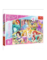 Puzzle 24-Maxi Disney Princess Magia wspomnień 14294 TREFL - nr 3