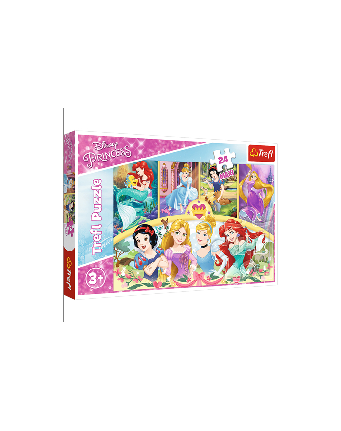 Puzzle 24-Maxi Disney Princess Magia wspomnień 14294 TREFL główny