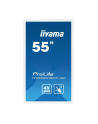 iiyama Monitor 55 ProLite TF5538UHSC-W1AG pojemnościowy biały 24/7 IPS DP - nr 25