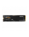 samsung Dysk SSD 970EVO PLUS MZ-V7S250BW 250GB - nr 151