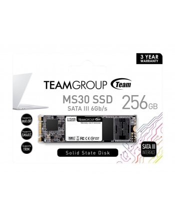 Team Group Dysk SSD MS30 256GB M.2 SATA3, 550/470 MB/s