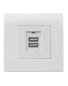 intellinet network solutions Intellinet gniazdo podtynkowe 2x USB-A 5V/2.1A białe - nr 8
