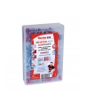 Fischer Meister-Box DUOPOWER plus śruba - kołek - jasny szary / czerwony - 160 części - nr 2