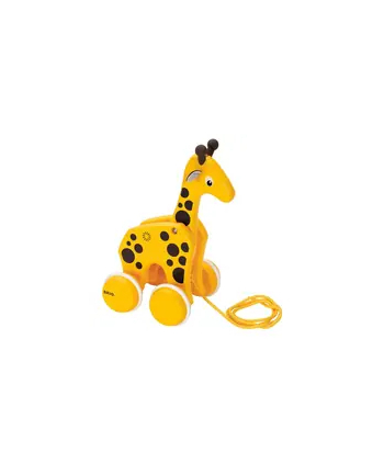 BRIO follow-up giraffe