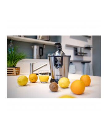 Steba ZP 2 Citrus Juicer - 160W - silver nr 2