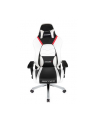 AKRACING Master PREMIUM - white/black - nr 45