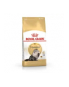 royal canin FBN Persian 4 kg - nr 5