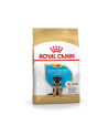 Karma Royal Canin Dog Food German Shepherd Junior (12 kg ) - nr 3
