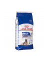 Karma Royal Canin Dog Food Maxi Ageing (15 kg ) - nr 3