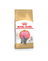 Karma Royal Canin KITTEN BRITISH (10 kg ) - nr 3