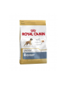 ROYAL CANIN Dog Food Boxer Junior 30 Dry Mix 12kg - nr 1