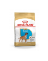 ROYAL CANIN Dog Food Boxer Junior 30 Dry Mix 12kg - nr 3