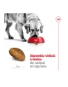 Karma Royal Canin Dog Food Maxi Adult (15 kg ) - nr 14